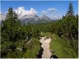 Passo Staulanza - Rifugio Venezia